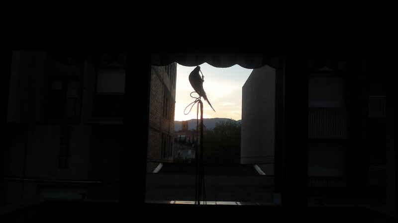 Silhouette of Bird on Pole — Black