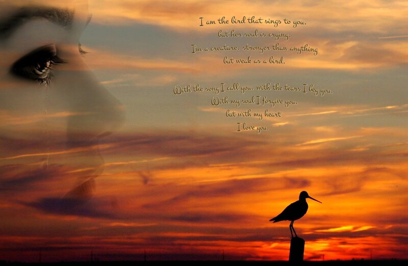 Silhouette of Bird on Post