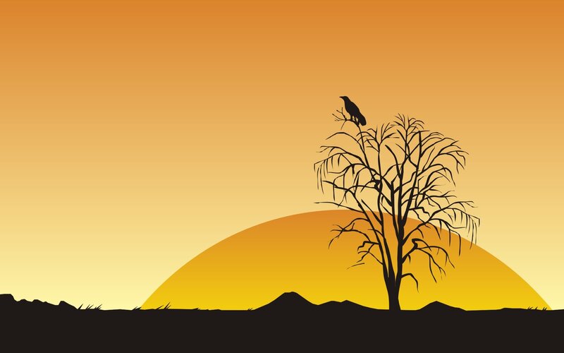 silhouette of bird on tree