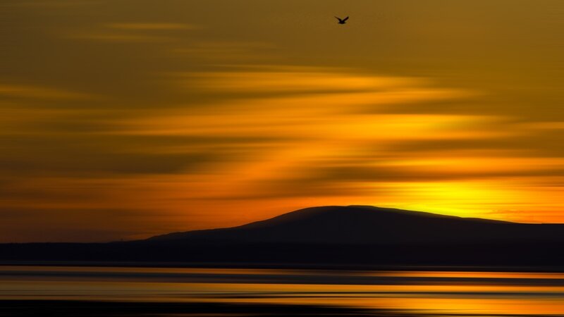 Silhouette of Bird over Mountain