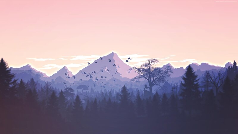 Silhouette of Birds Flying