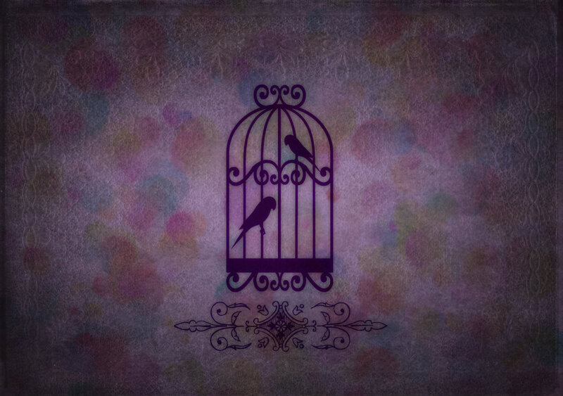 Silhouette of Birds in Cage