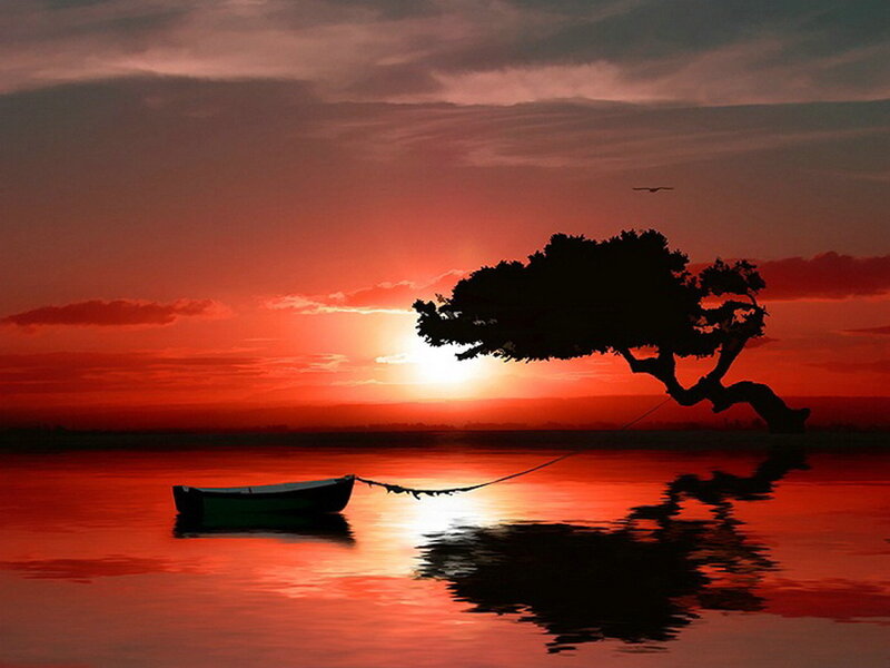 Silhouette of Boat and Tree