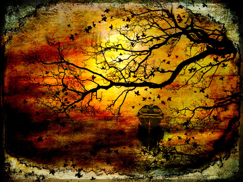 Silhouette of Boat under Tree