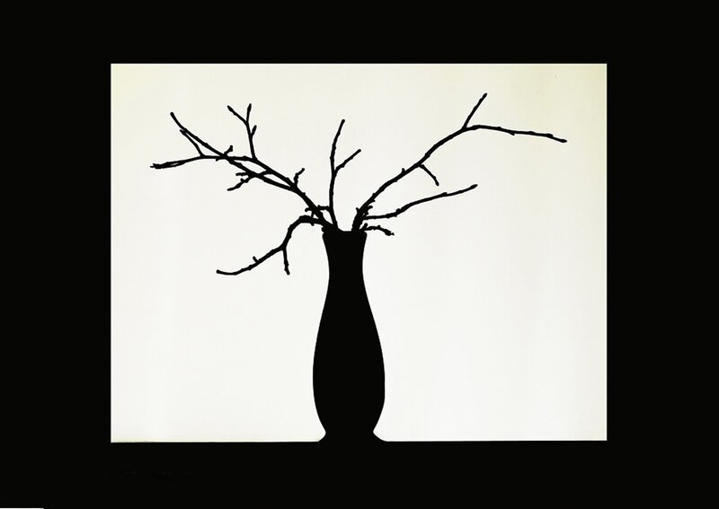 Silhouette of Branches in Vase