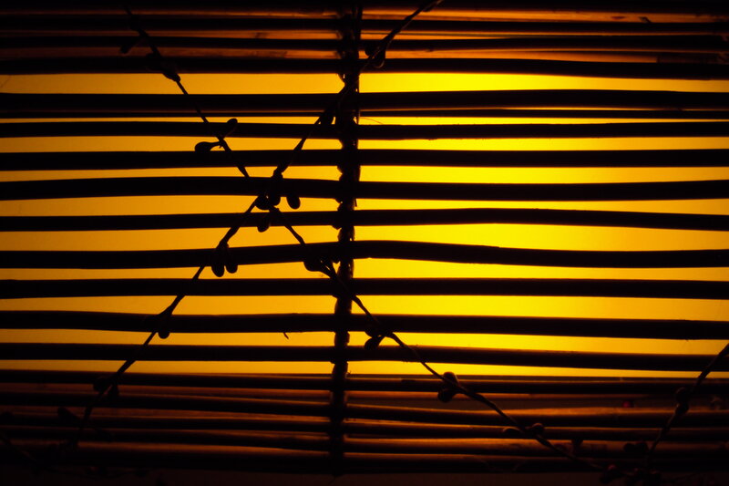 Silhouette of Branches