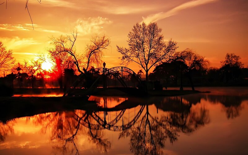 Silhouette of Bridge and Trees