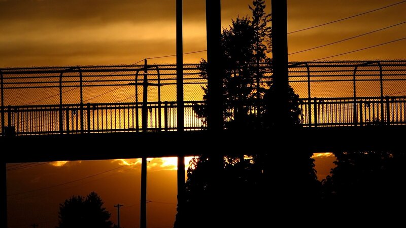 silhouette of bridge at sunset
