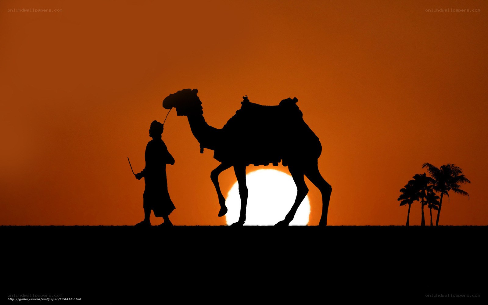 Silhouette of camel and guide at sunset