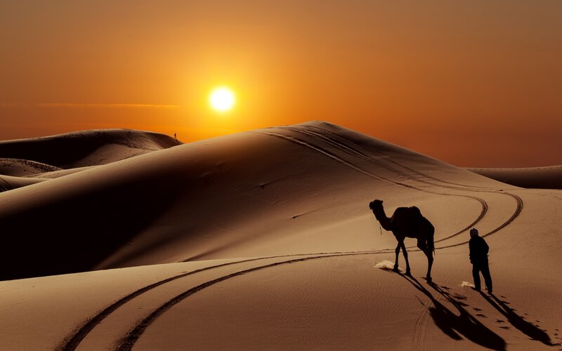 Silhouette of Camel and Person