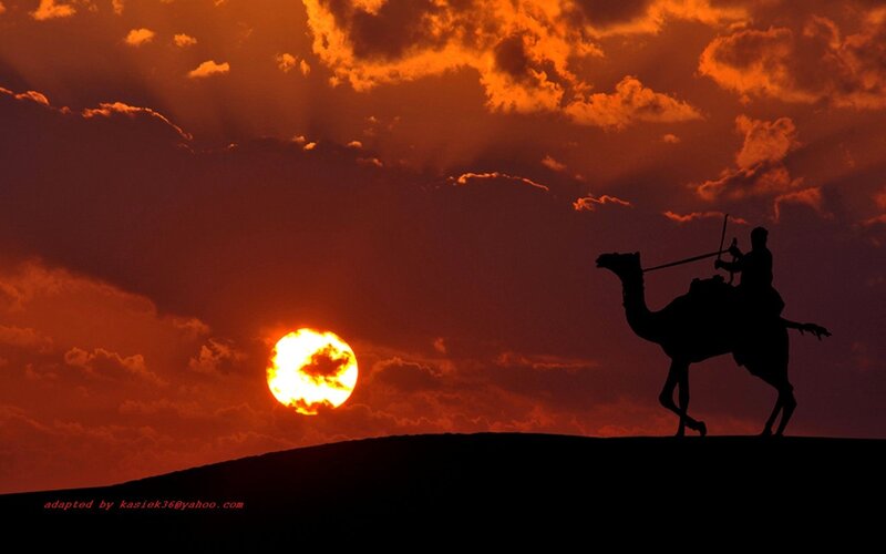 Silhouette of camel rider at sunset
