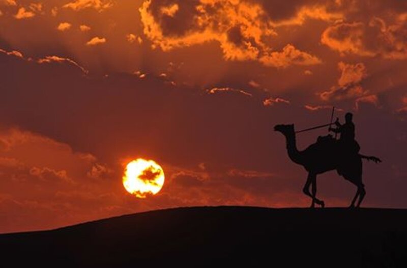 Silhouette of Camel Rider