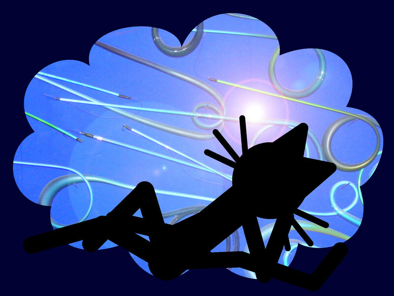 Silhouette of Cat — Blue