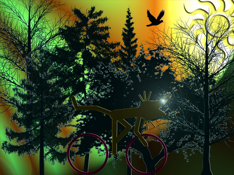 Silhouette of Cat on Bicycle