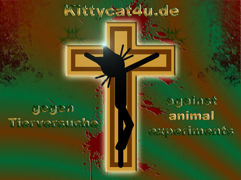 Silhouette of Cat on Cross