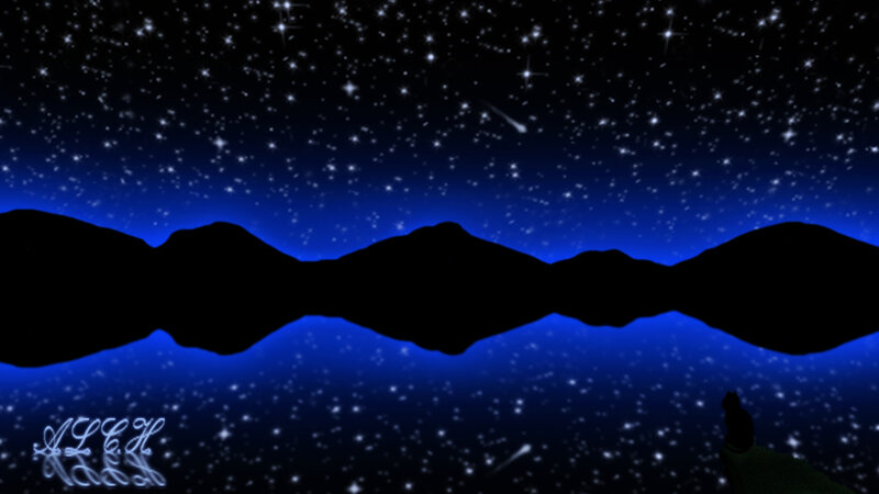 Silhouette of Cat Watching Stars