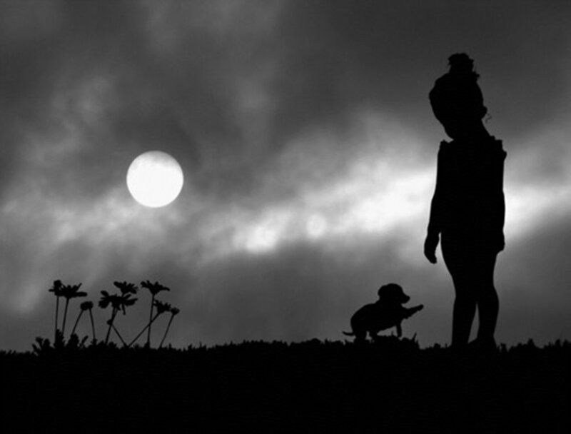 Silhouette of Child and Dog