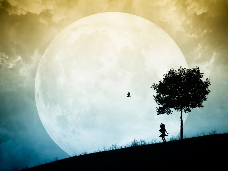 Silhouette of Child and Tree — Blue
