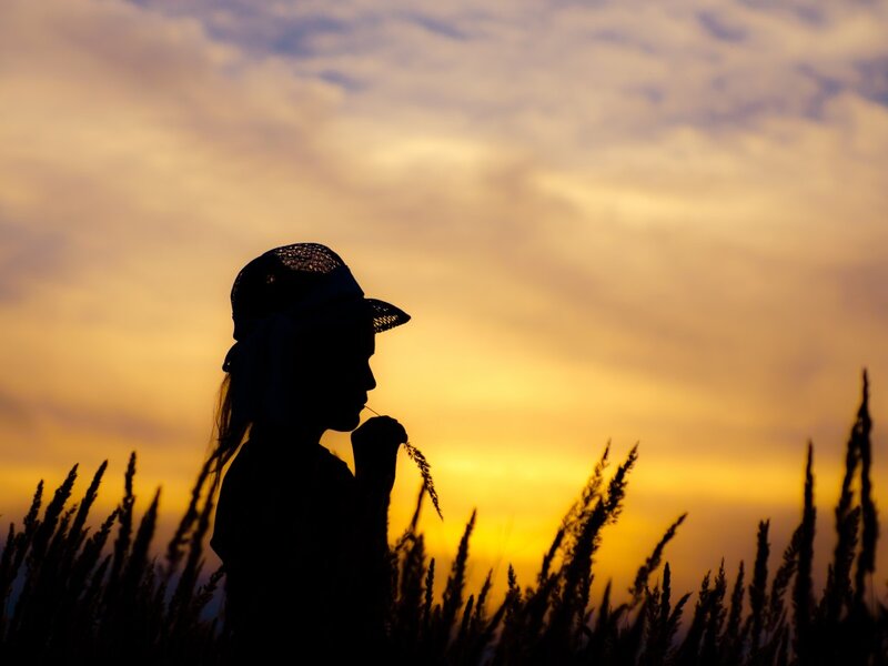 Silhouette of Child in Field