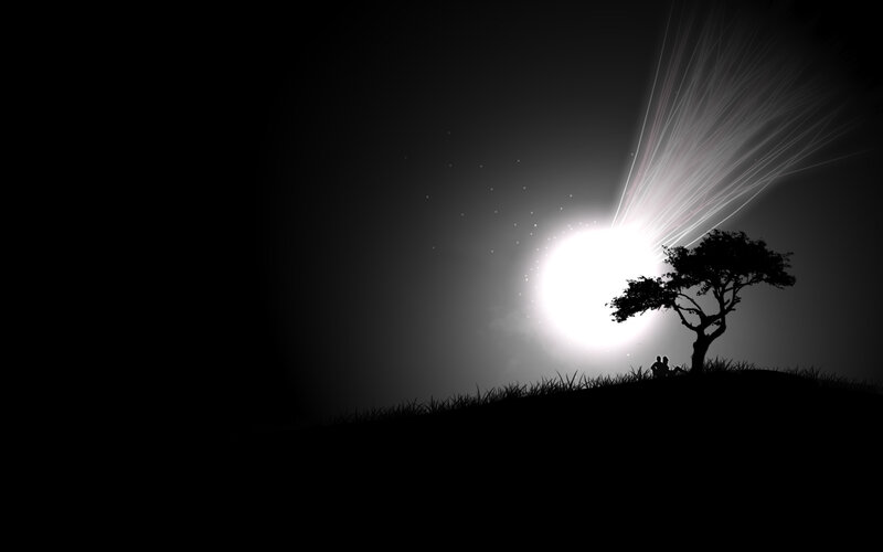 Silhouette of couple under starlight