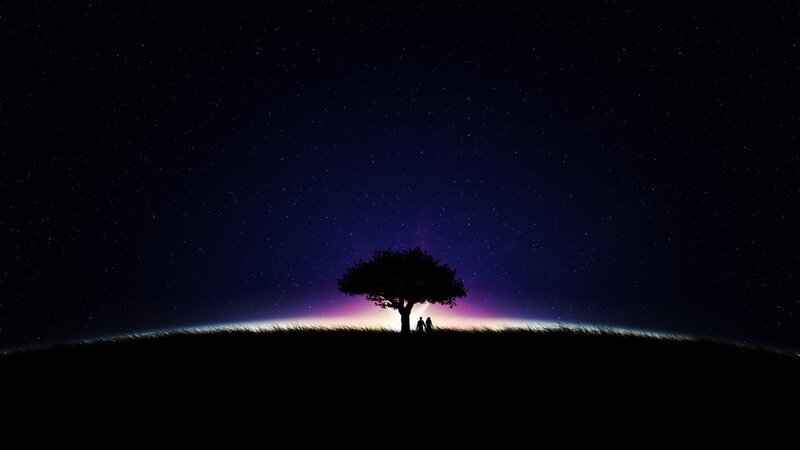 Silhouette of couple under starry sky