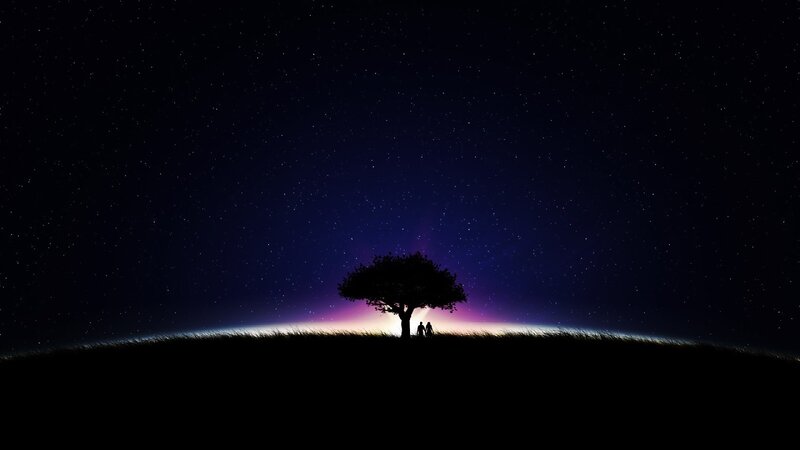 Silhouette of couple under starry sky