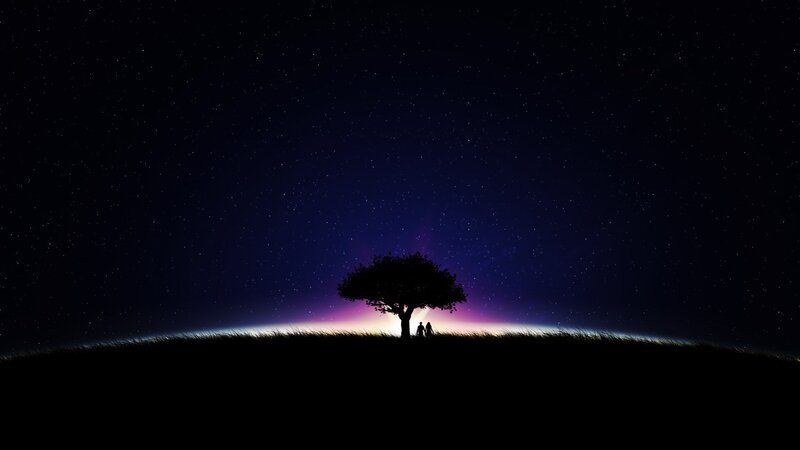 Silhouette of couple under starry sky