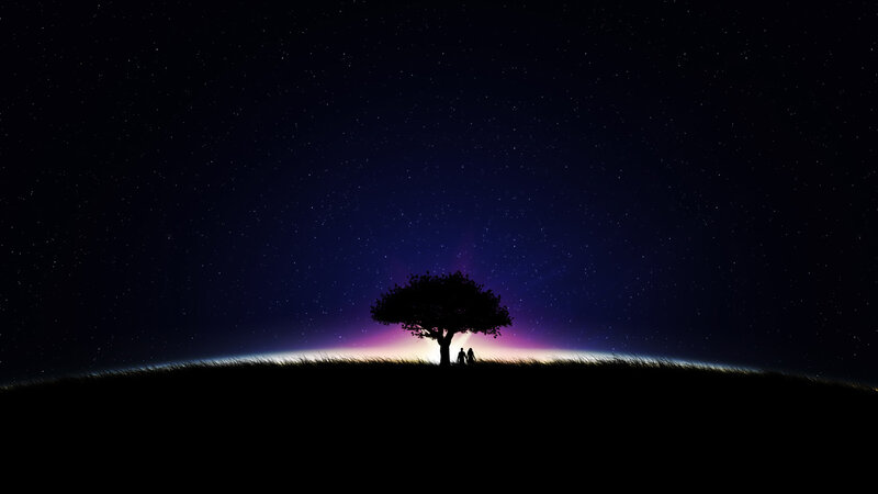 Silhouette of couple under starry sky