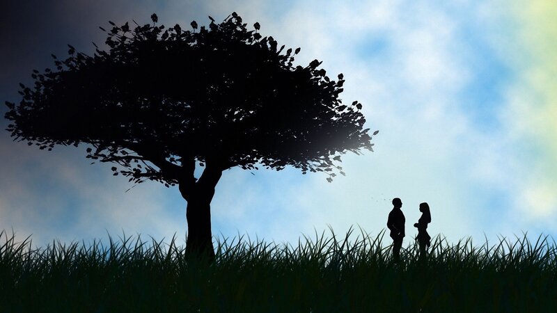 Silhouette of couple under tree