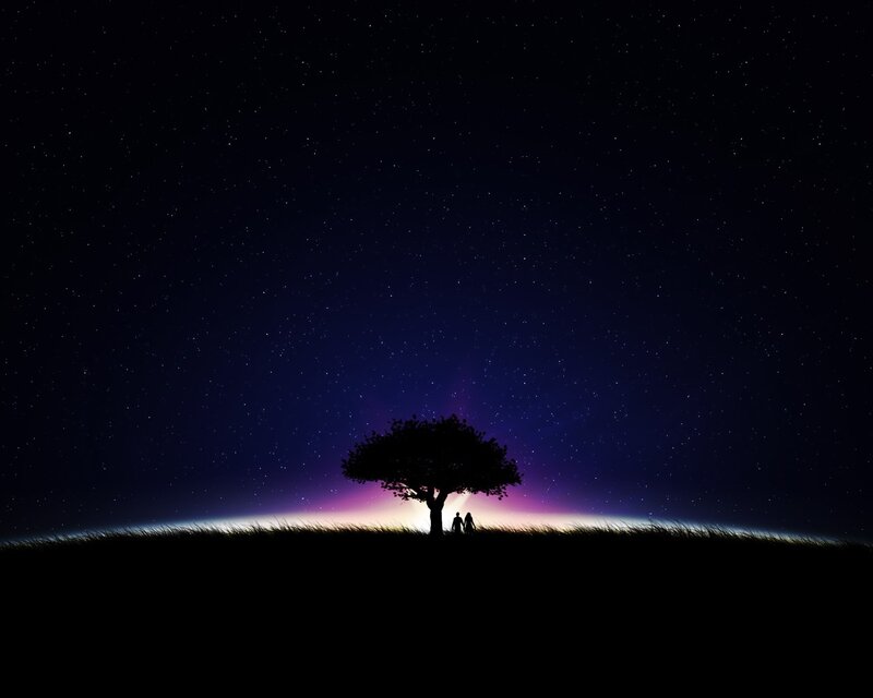 Silhouette of Couple under Tree — Black, Serene
