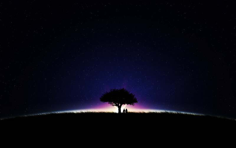 Silhouette of Couple under Tree — Black