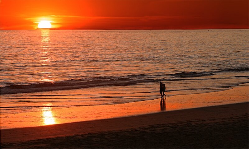 Silhouette of Couple Walking