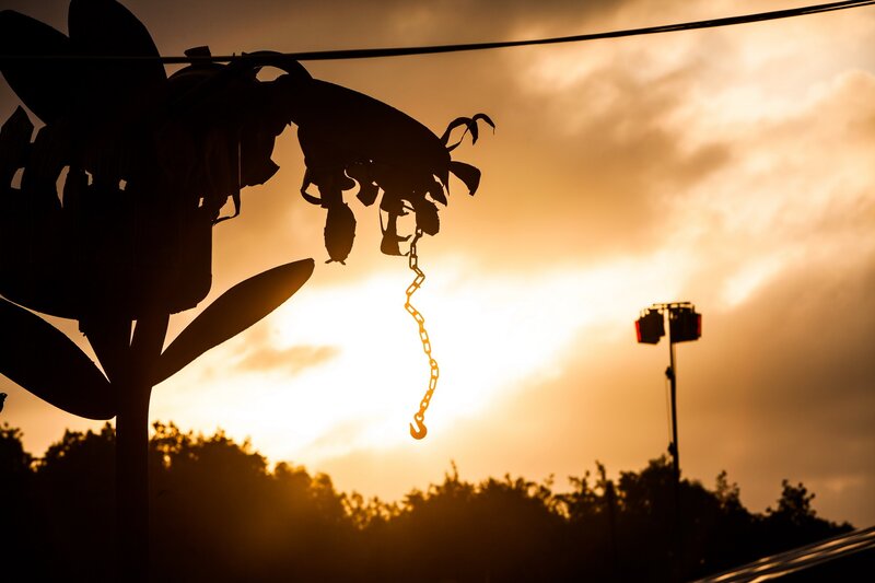 Silhouette of crane at sunset