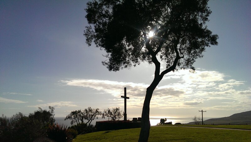 Silhouette of Cross and Tree