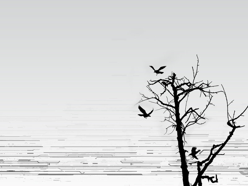 Silhouette of crows on a bare tree