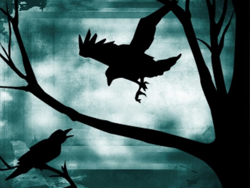 Silhouette of Crows