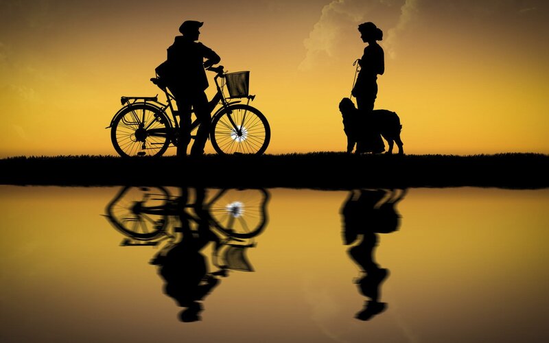 Silhouette of Cyclist and Dog