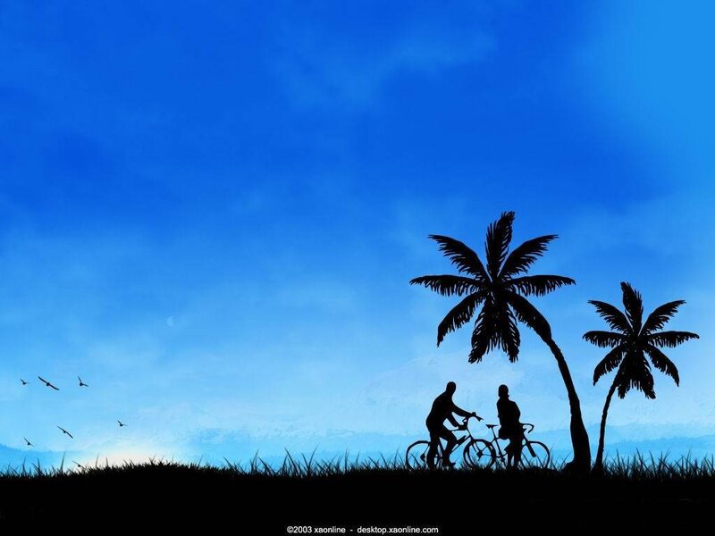 Silhouette of cyclists at sunset