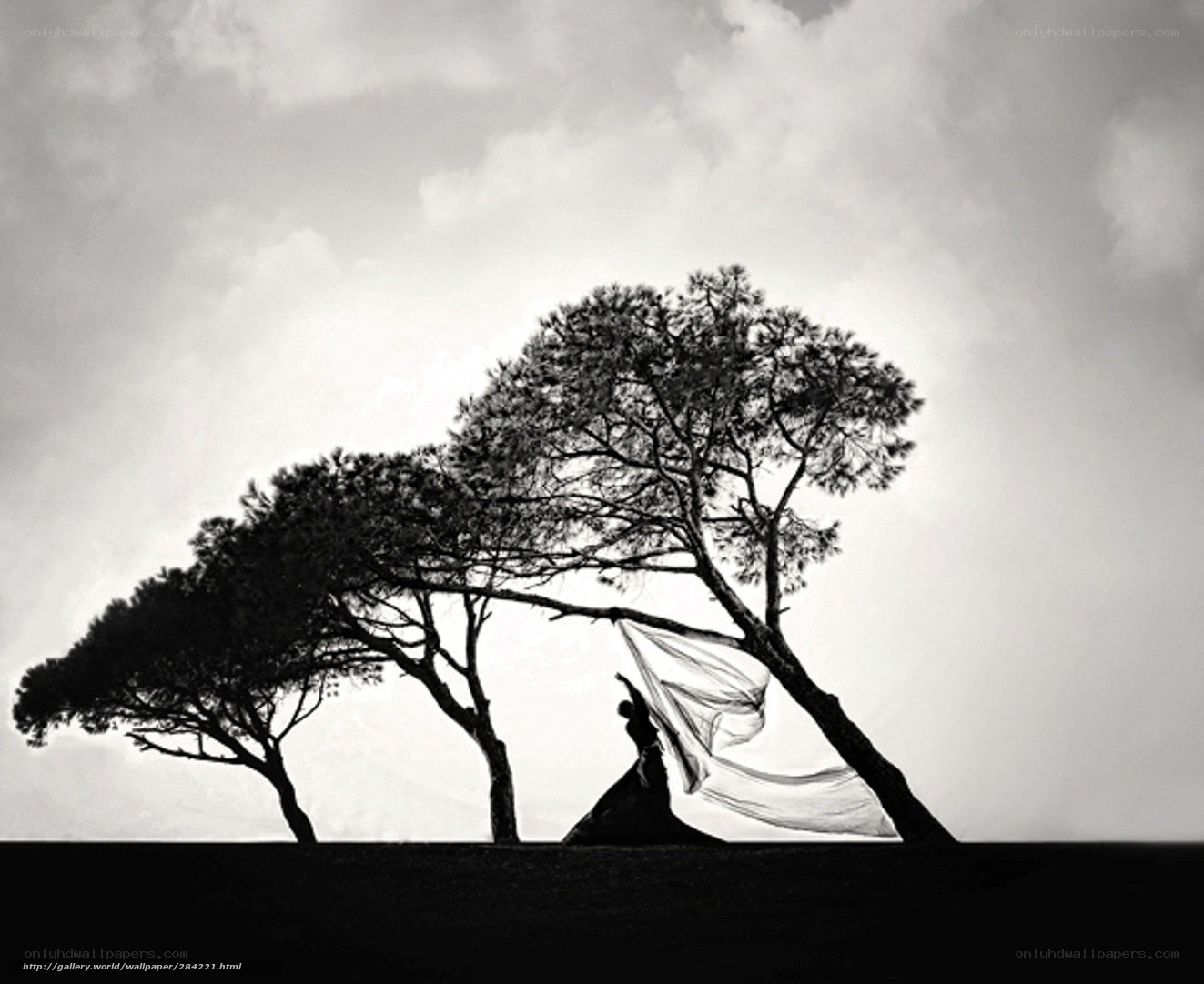 Silhouette of Dancer with Veil