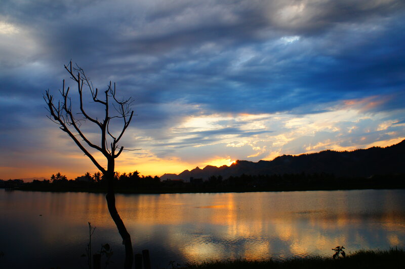 Silhouette of Dead Tree — Blue, Dramatic, Sunset
