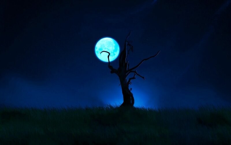 Silhouette of Dead Tree — Blue, Dramatic