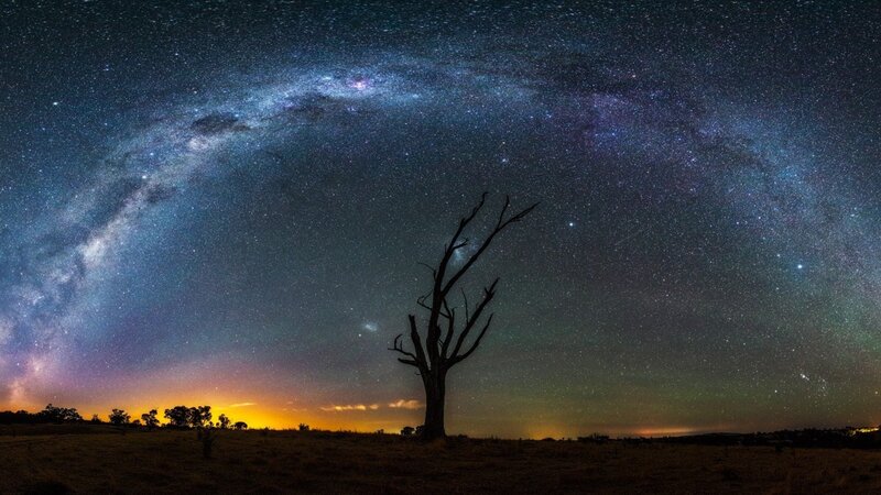 Silhouette of Dead Tree — Blue, Serene, Night, Photograph, Milky Way