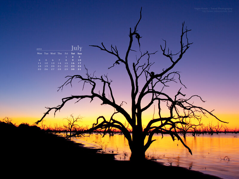 Silhouette of Dead Tree — Blue