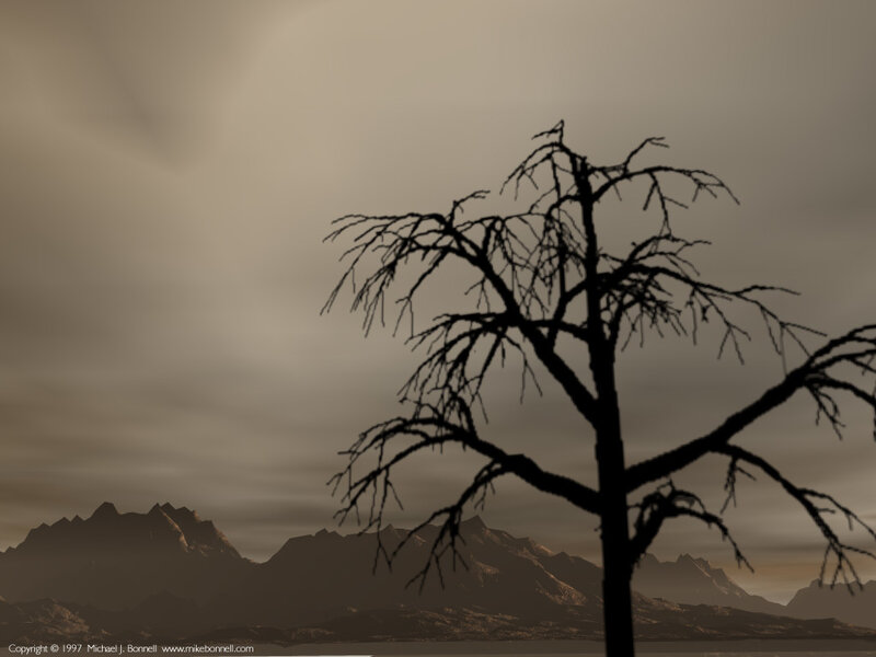 Silhouette of Dead Tree — Brown, Dramatic, Sunset