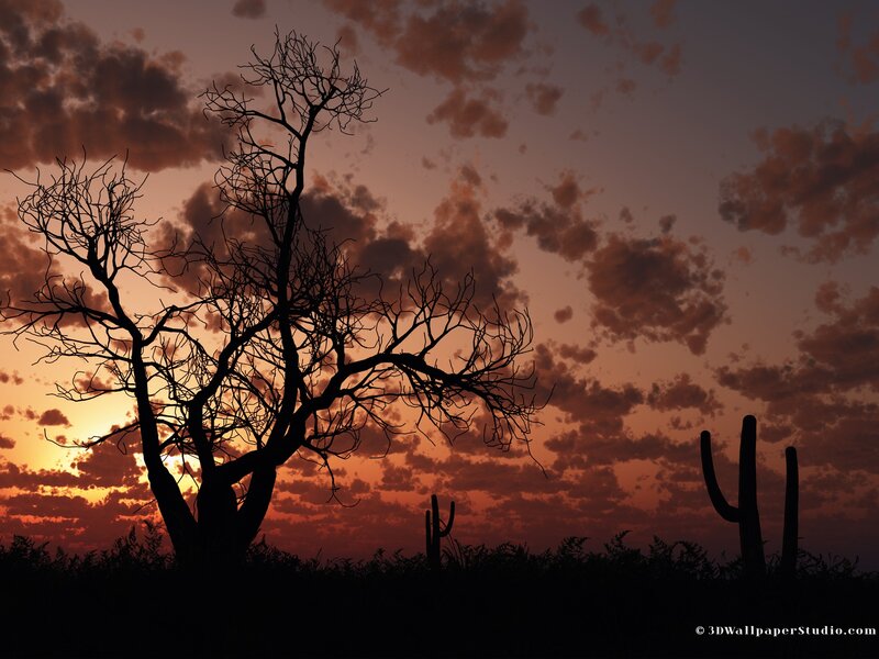 Silhouette of Dead Tree — Orange, Dramatic
