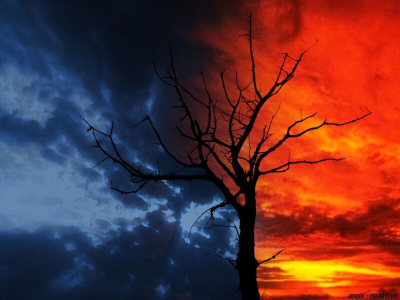 Silhouette of Dead Tree — Red, Dramatic