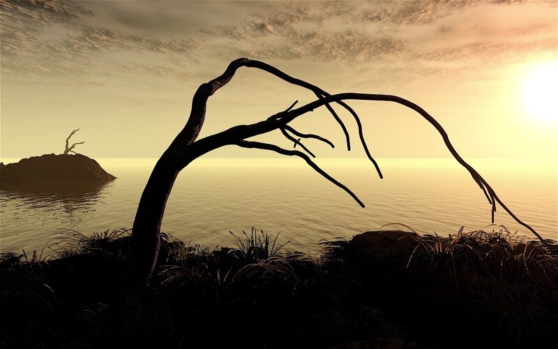 Silhouette of Dead Tree — Yellow