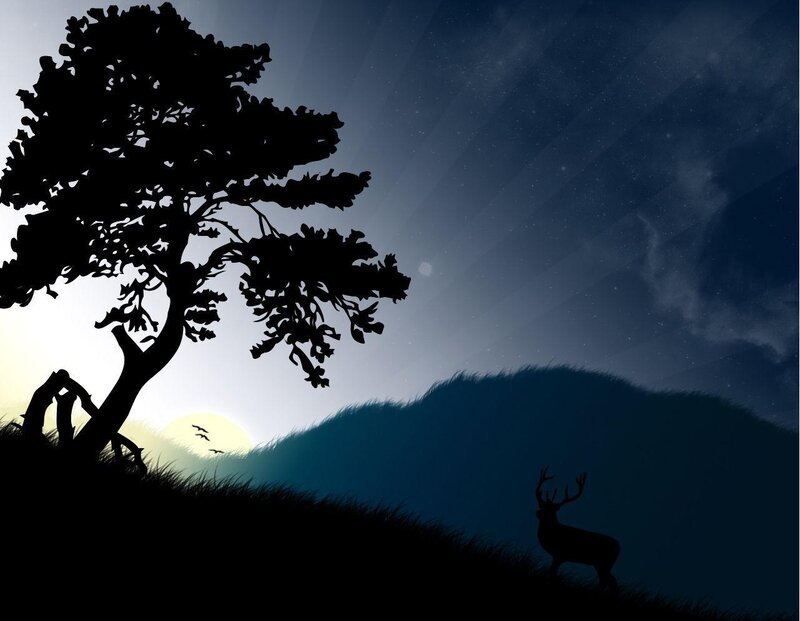 Silhouette of deer at dusk