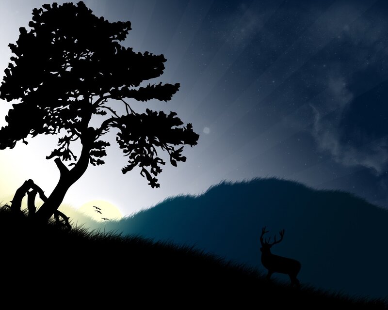 Silhouette of deer at dusk