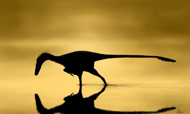 Silhouette of Dinosaur